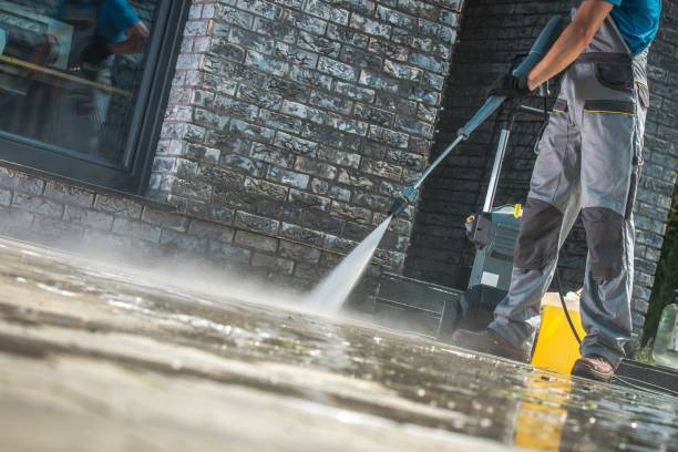Best Building Exterior Washing  in Mayo, FL
