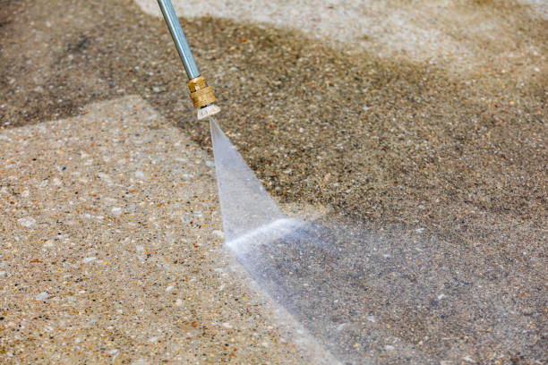 Best Factory Floor Cleaning  in Mayo, FL